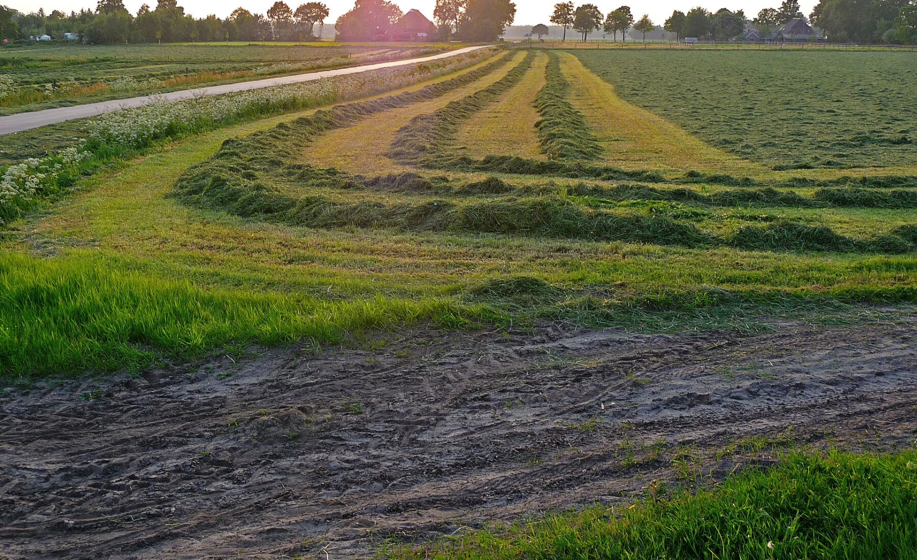 Evening sunset at the horizon, with red lights over the green fields in Laaghalerveen, near Hooghalen
