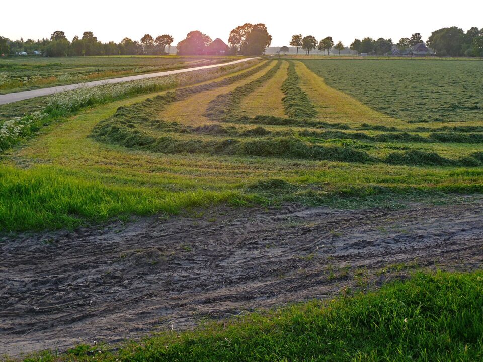 Evening sunset at the horizon, with red lights over the green fields in Laaghalerveen, near Hooghalen